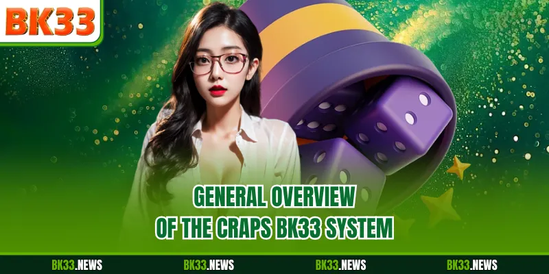 General overview of the Craps BK33 system