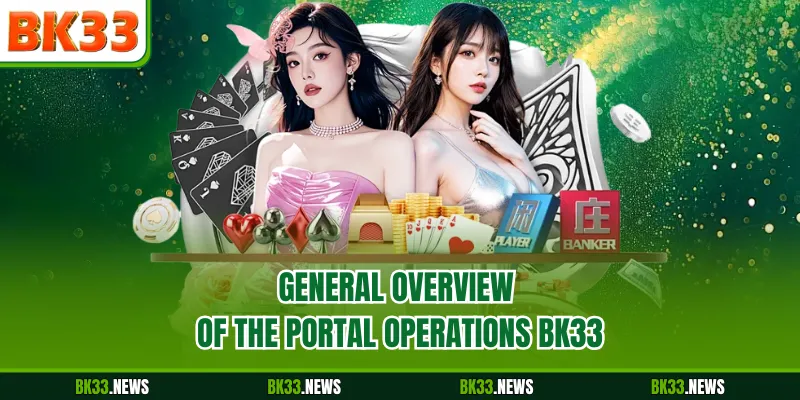 General overview of the portal operations BK33